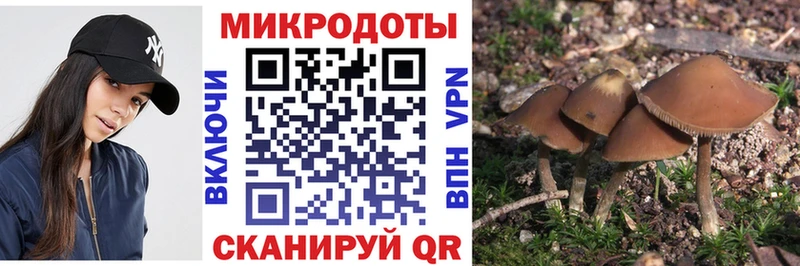 Галлюциногенные грибы Magic Shrooms  закладка  omg как зайти  Костерёво 
